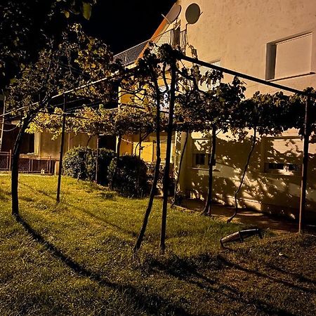Entire 1-Bedroom Apartment With Free Parking Podgorica Esterno foto